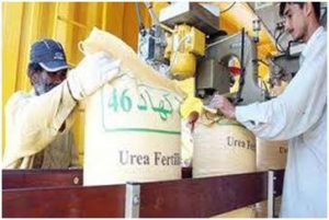 Read more about the article EFERT and FATIMA sales plunged by 34% and 80% YoY in May 2024