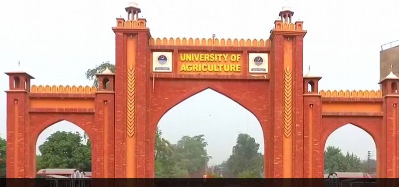 You are currently viewing Speakers urged promoting soybean cultivation : University of Agriculture Faisalabad