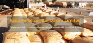 Read more about the article Amalgamation of FFC and FFBL