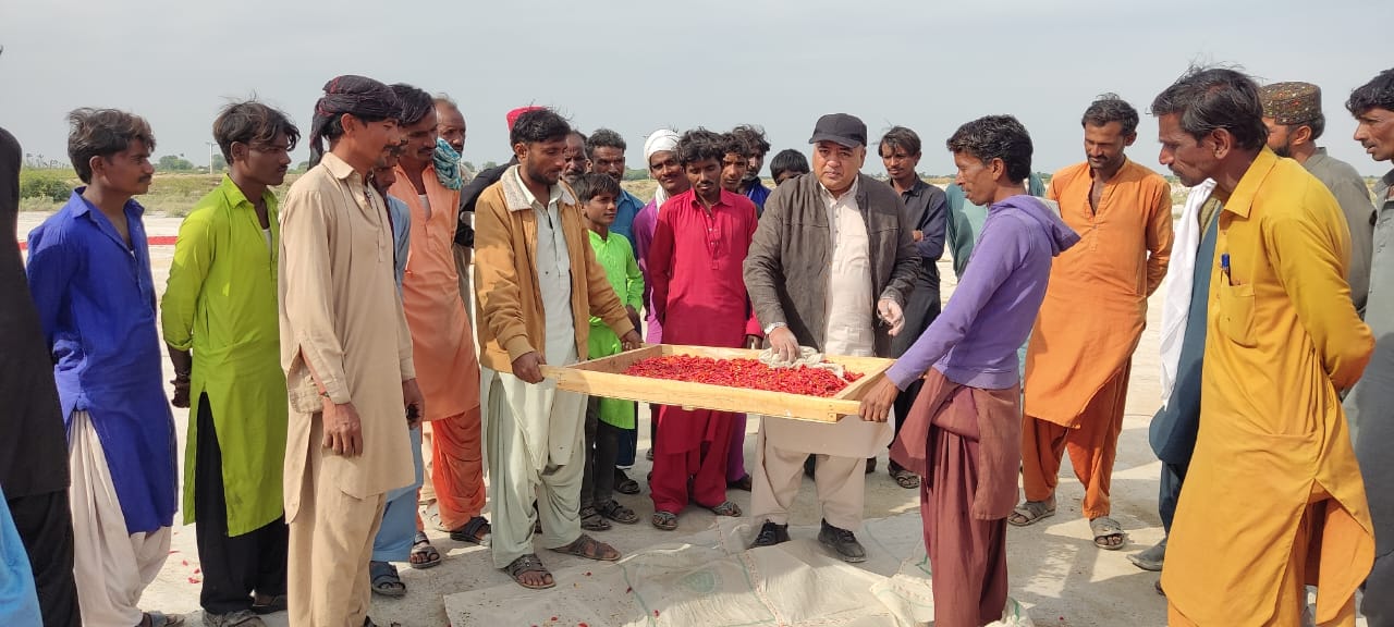 You are currently viewing Shan Foods’ Kunri initiative contributes to a greener future in Sindh