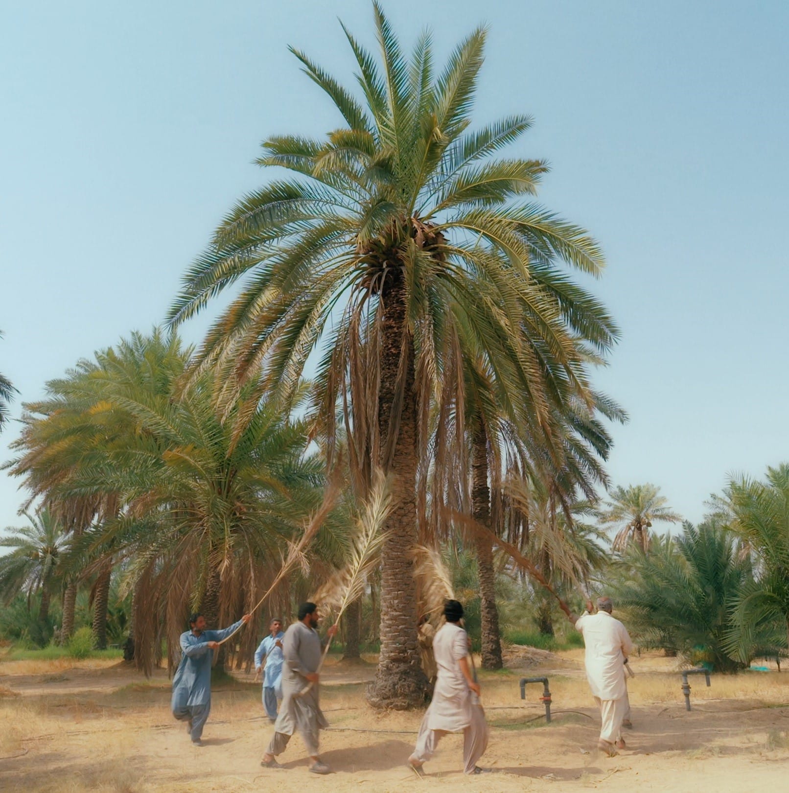 You are currently viewing Lahore Biennale LB03 Concludes with Climate Congress: Exploring Art’s Role in Sustainable Societies