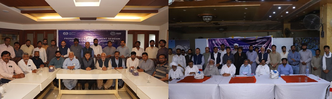 You are currently viewing EFP and ILO enhance cotton productivity in Punjab