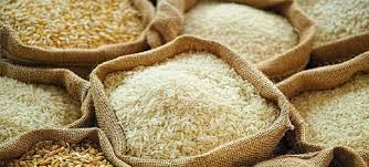 You are currently viewing Increase in taxes significantly reduced rice exports – Rafiq Suleman