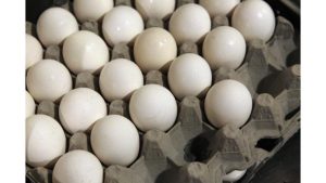 Read more about the article The BFAGRO expansion project at Faisalabad will increase total capacity by 71% to 29,000 tons