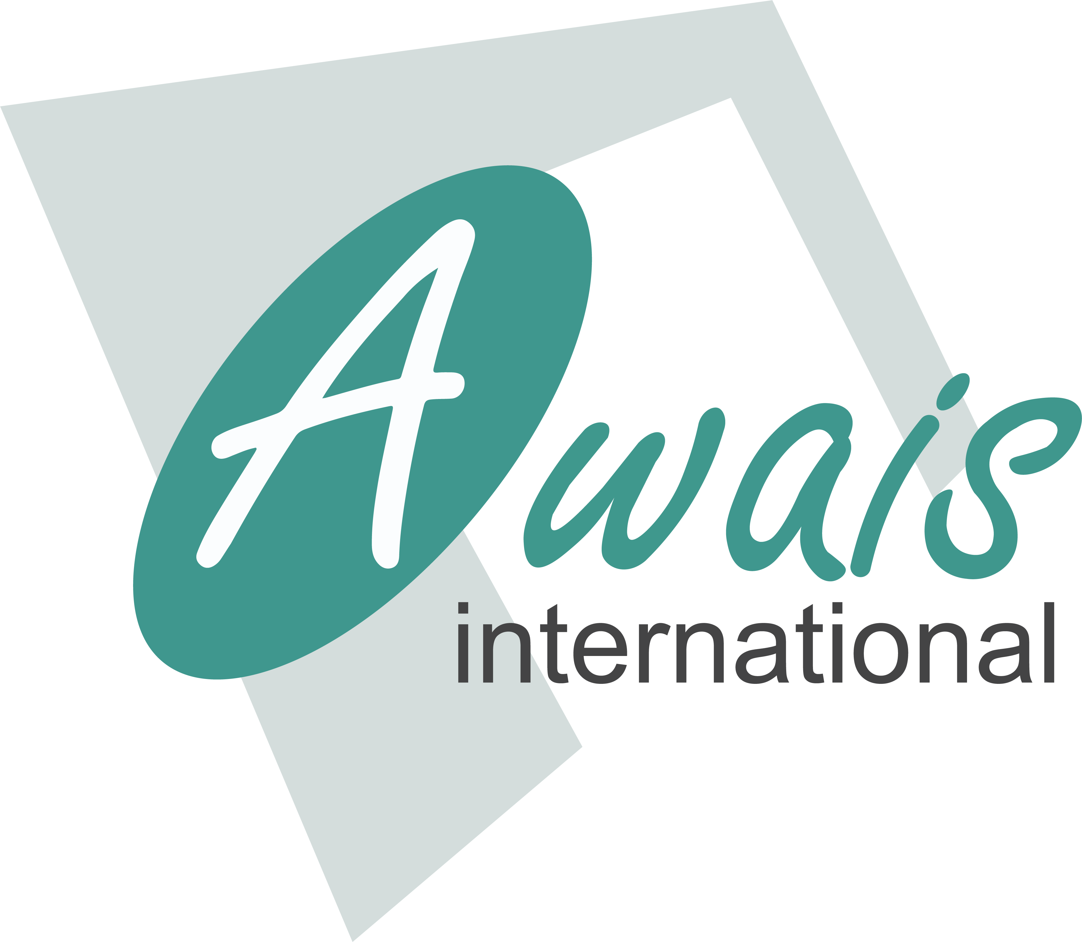 You are currently viewing Awais International: A well-known brand in Pakistan’s IT industry