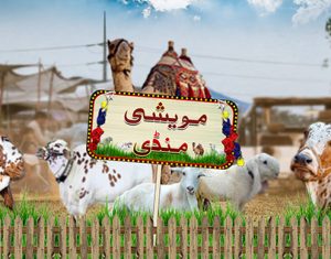 Read more about the article SBP launches nationwide “Go Cashless” campaign for Eid-ul-Azha