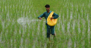 Read more about the article Fertilizer industry sees August decline; EFERT outperforms peers